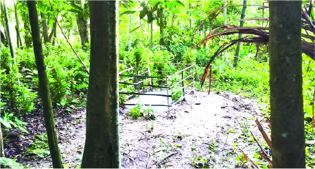 Image of মো: জিহাদ হোসেন